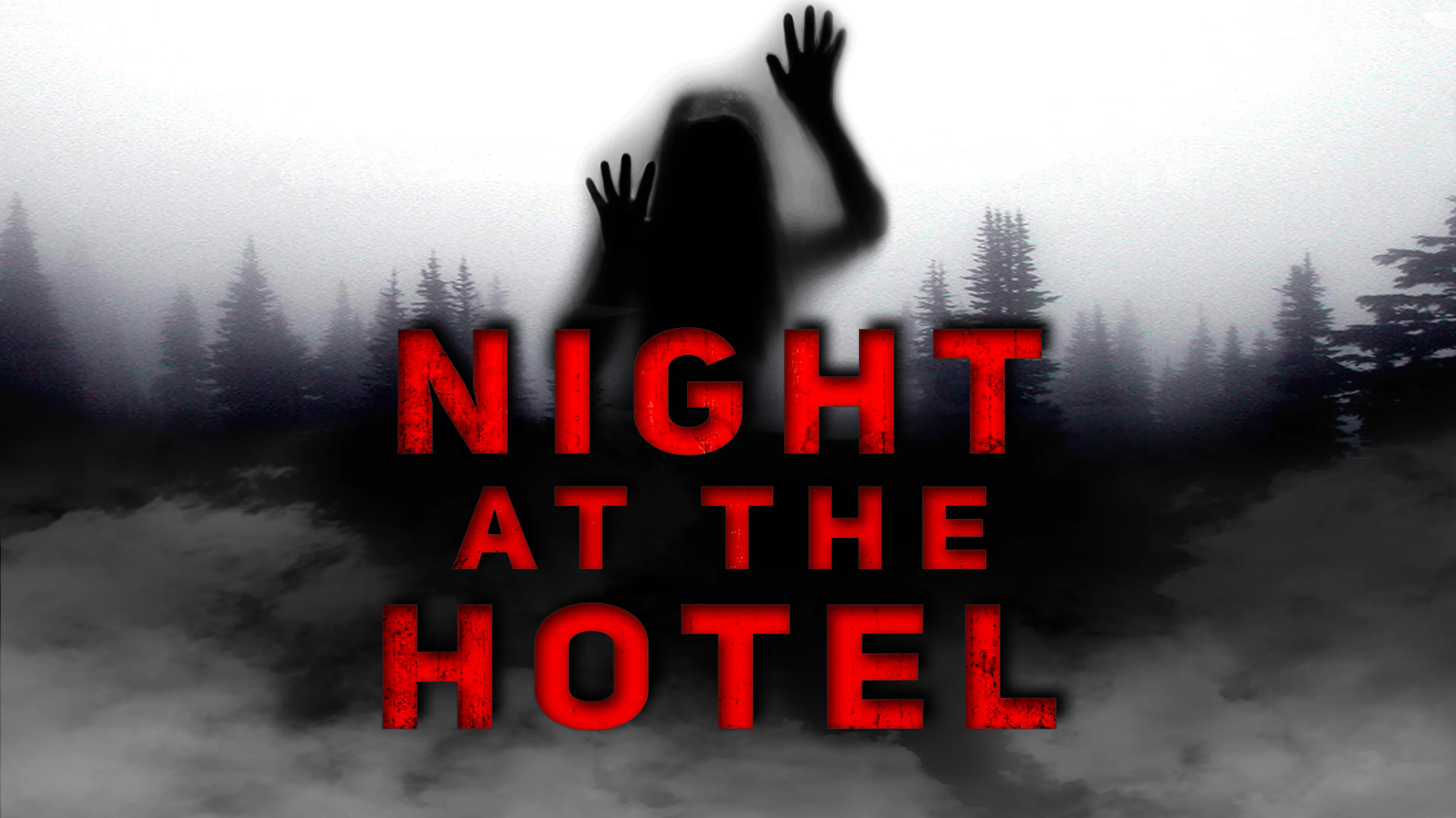 Night at the Hotel poster